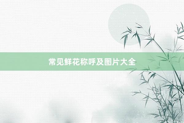 常见鲜花称呼及图片大全