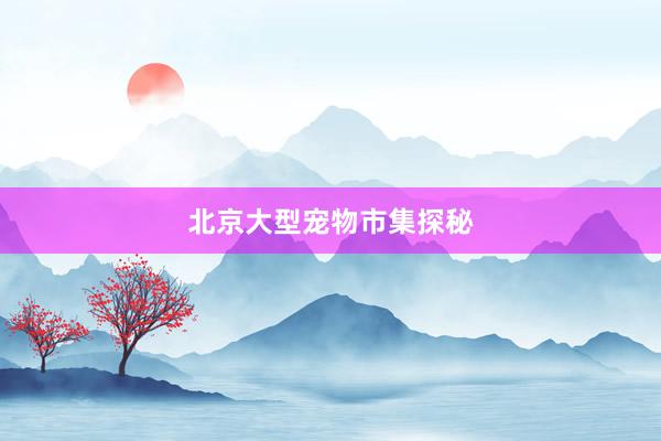 北京大型宠物市集探秘