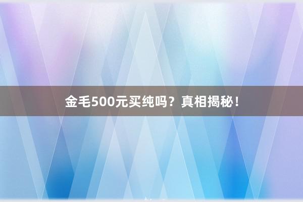 金毛500元买纯吗？真相揭秘！